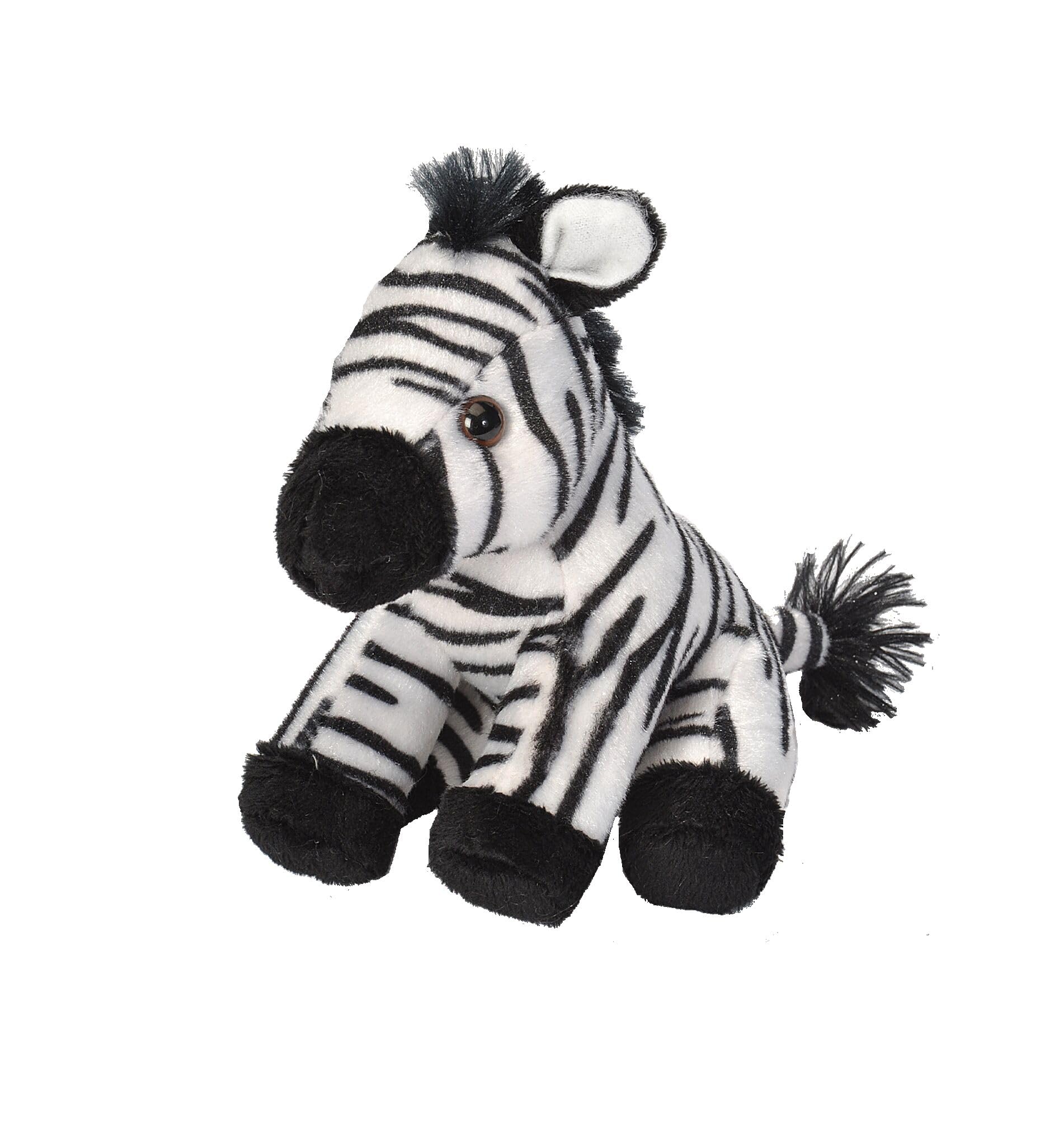 Amazon.com: Wild Republic Pocketkins Eco Zebra, Stuffed Animal, 5